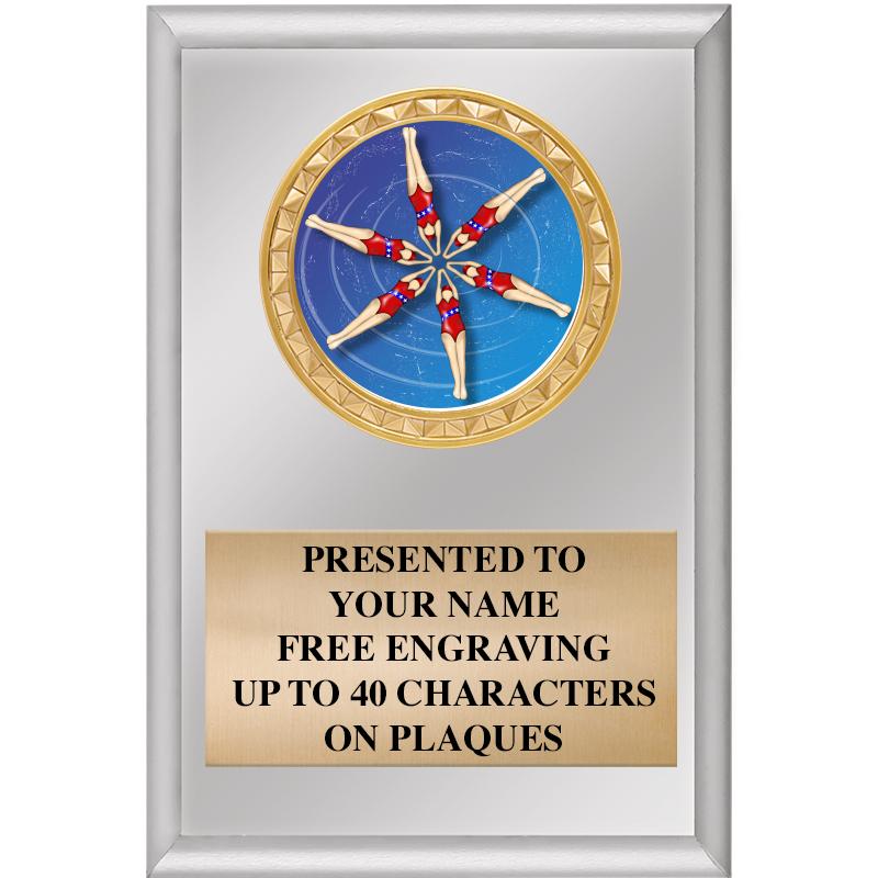 4" X 6" SILVER INSERT PLAQUE