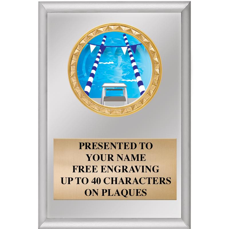 4" X 6" SILVER INSERT PLAQUE