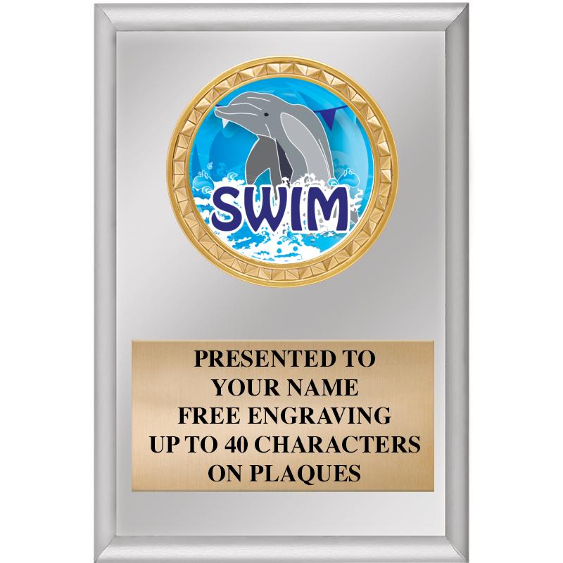 4" X 6" SILVER INSERT PLAQUE