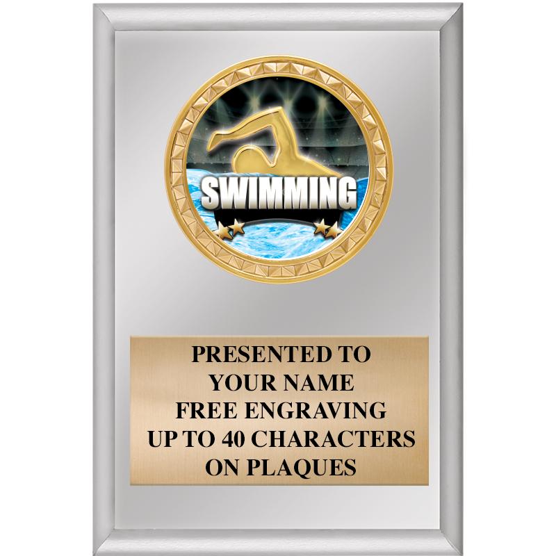 4" X 6" SILVER INSERT PLAQUE