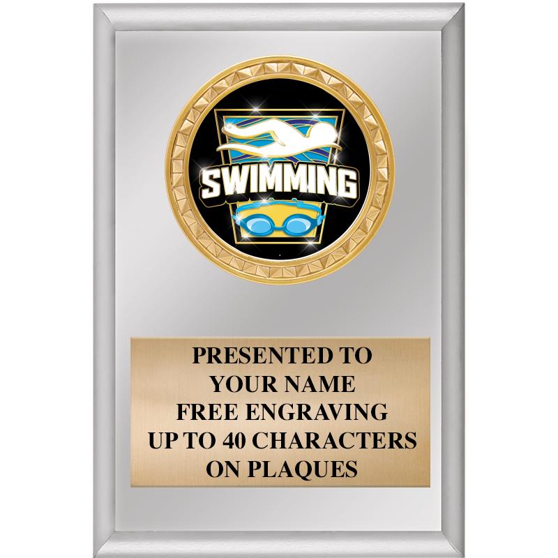 4" X 6" SILVER INSERT PLAQUE