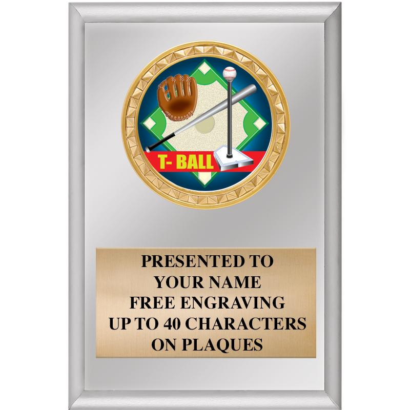 4" X 6" SILVER INSERT PLAQUE