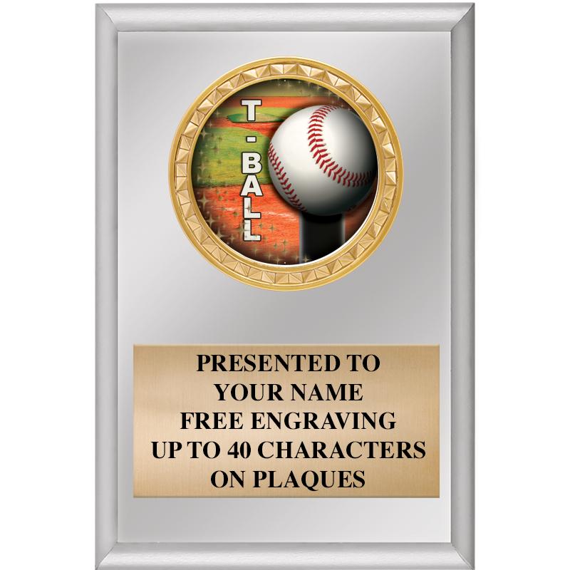 4" X 6" SILVER INSERT PLAQUE