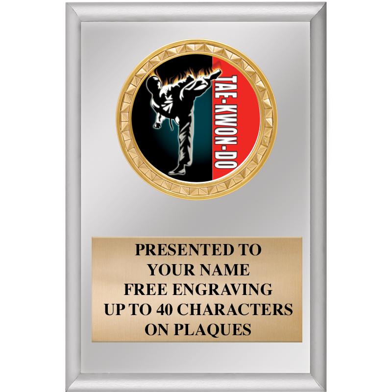 4" X 6" SILVER INSERT PLAQUE