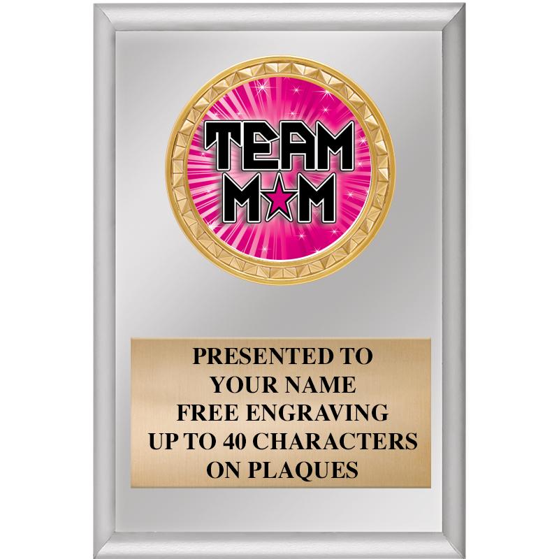 4" X 6" SILVER INSERT PLAQUE