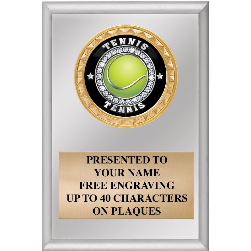 4" X 6" SILVER INSERT PLAQUE