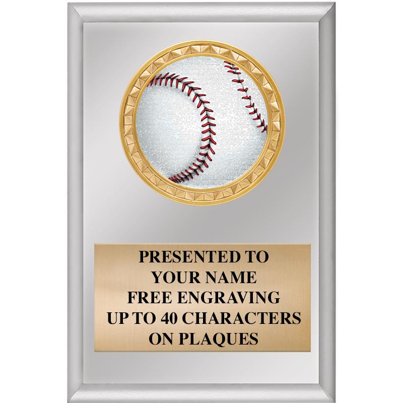 4" X 6" SILVER INSERT PLAQUE