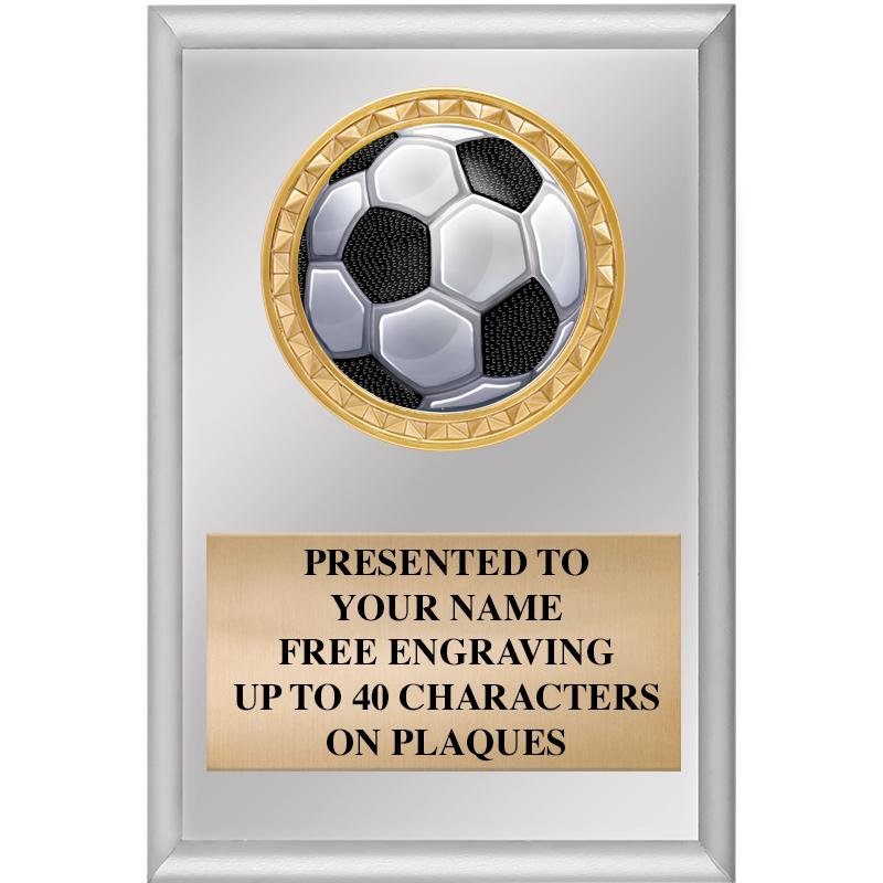 4" X 6" SILVER INSERT PLAQUE