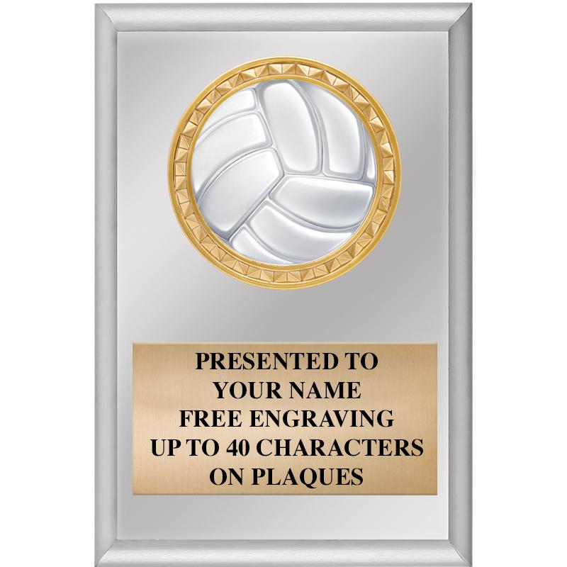 4" X 6" SILVER INSERT PLAQUE