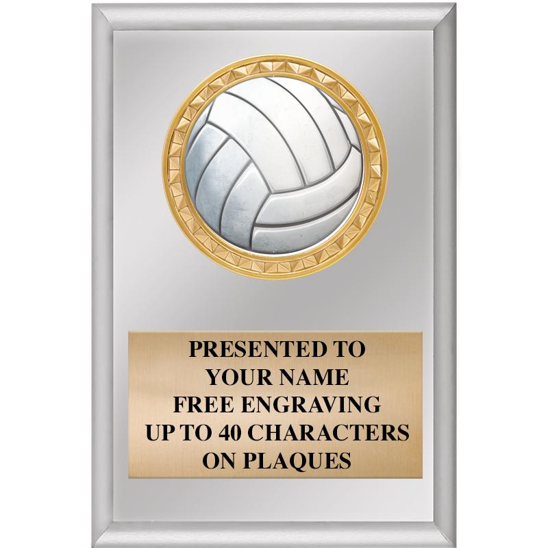 4" X 6" SILVER INSERT PLAQUE