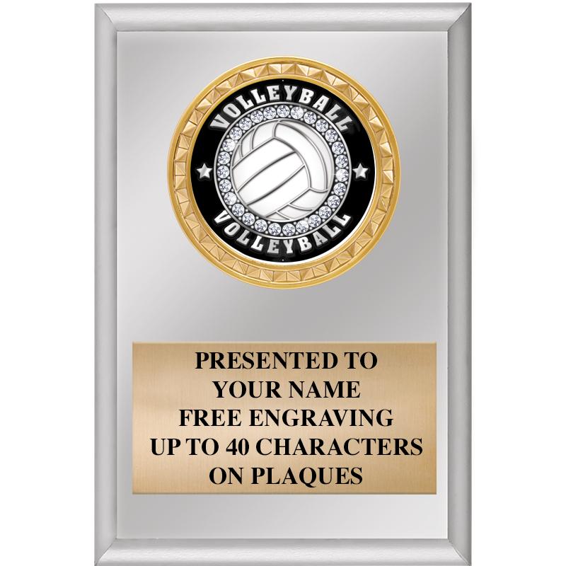 4" X 6" SILVER INSERT PLAQUE