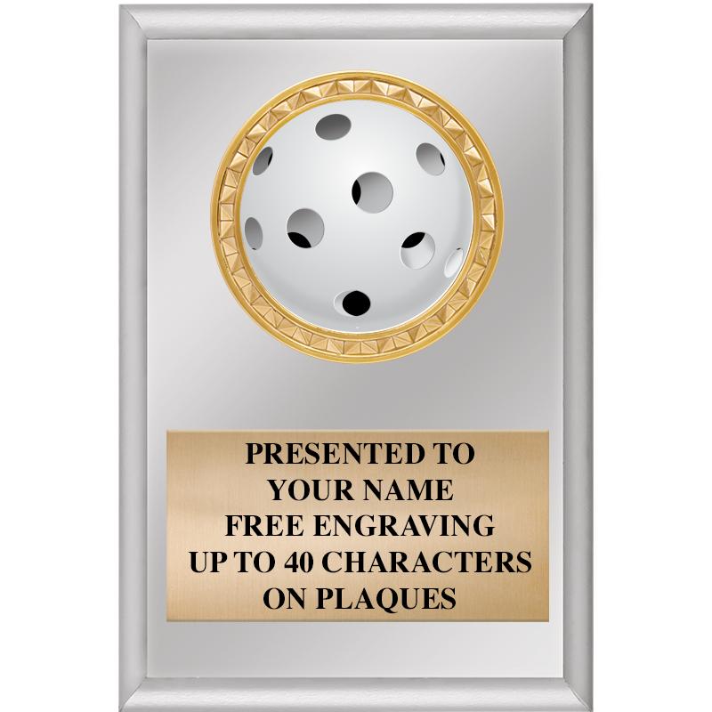 4" X 6" SILVER INSERT PLAQUE