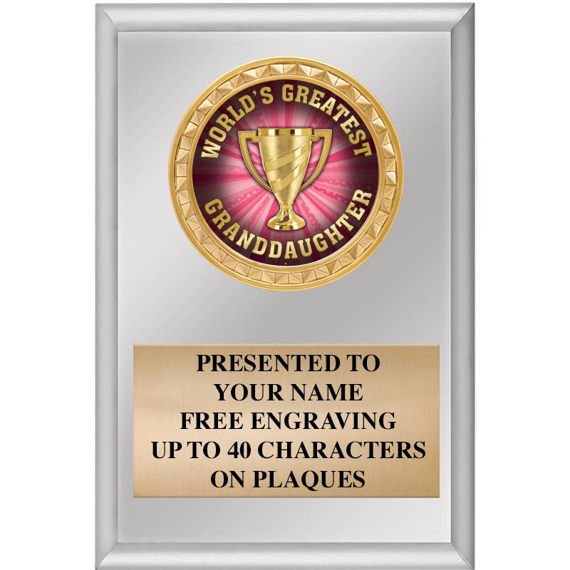 4" X 6" SILVER INSERT PLAQUE