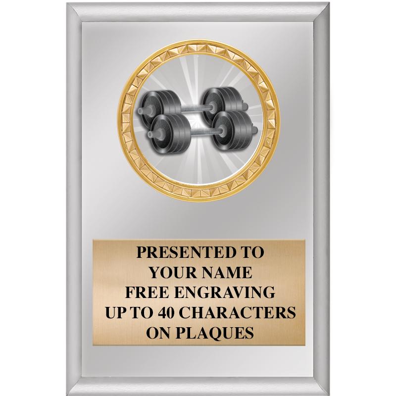 4" X 6" SILVER INSERT PLAQUE