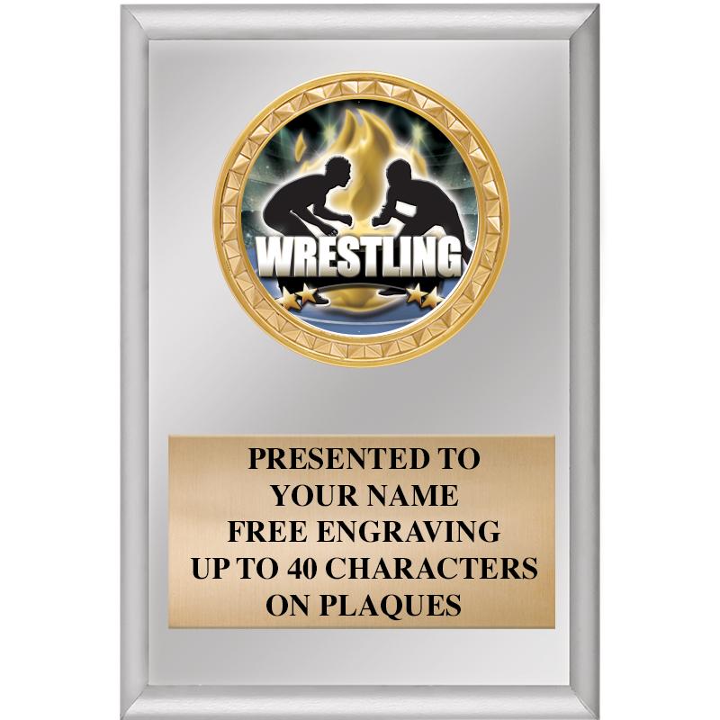 4" X 6" SILVER INSERT PLAQUE