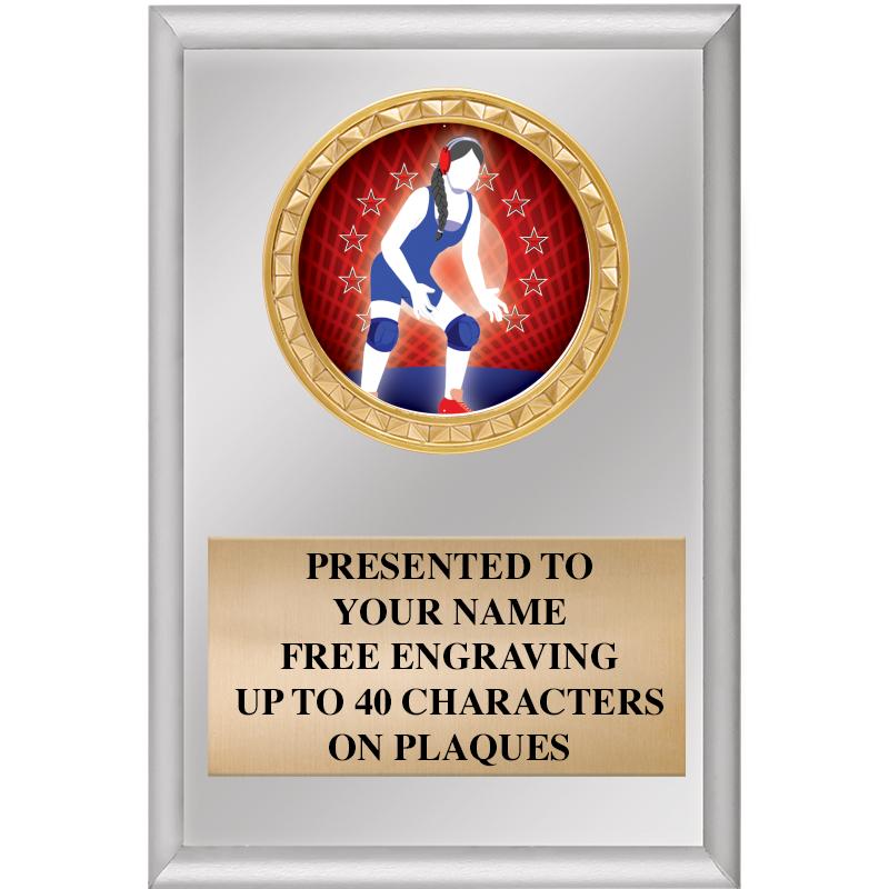 4" X 6" SILVER INSERT PLAQUE