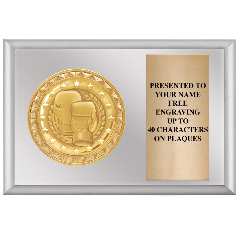 6" X 4" SILVER INSERT PLQ