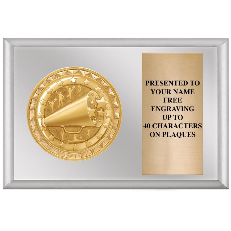 6" X 4" SILVER INSERT PLQ