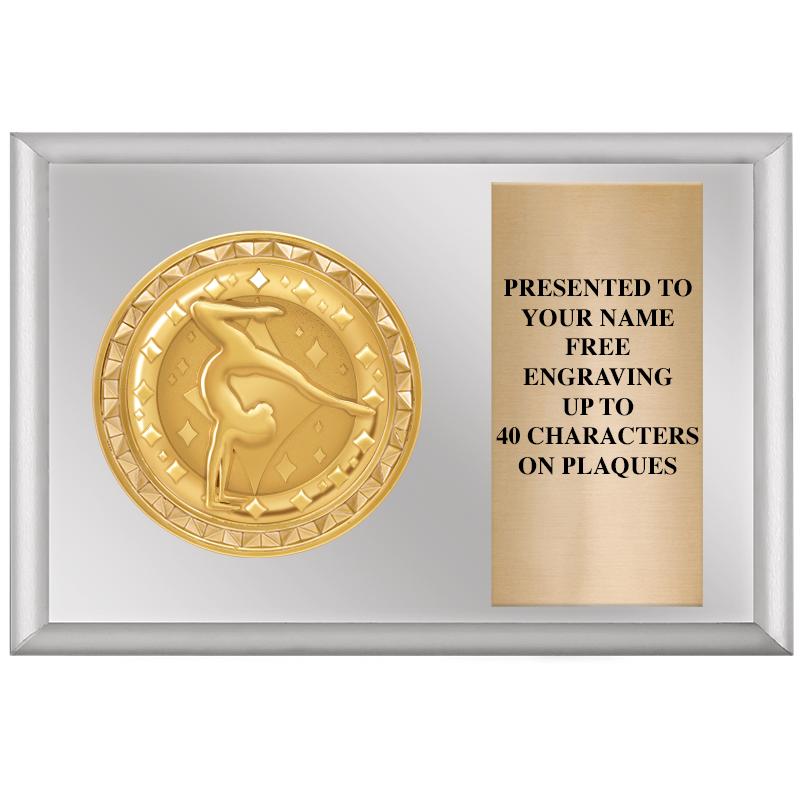 6" X 4" SILVER INSERT PLQ