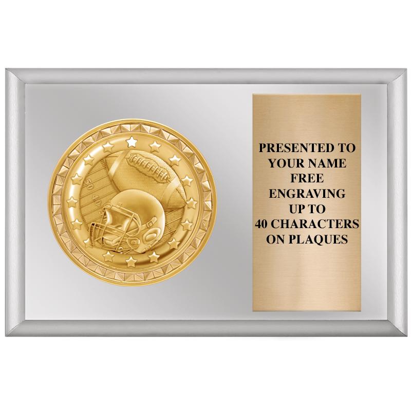 6" X 4" SILVER INSERT PLQ