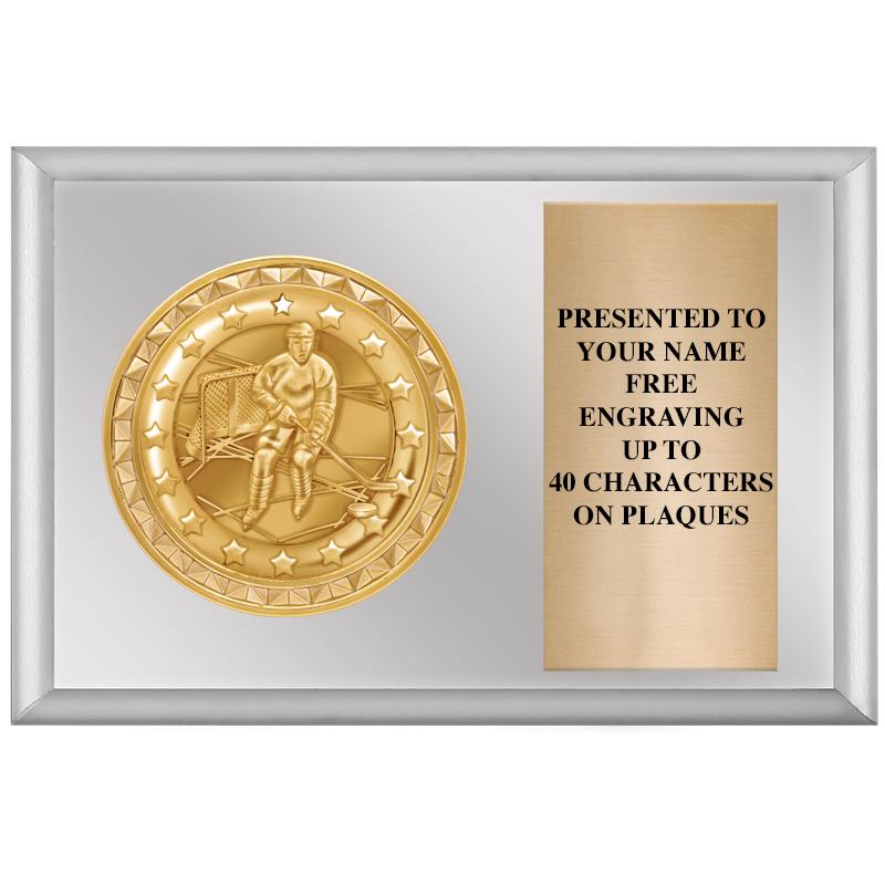 6" X 4" SILVER INSERT PLQ