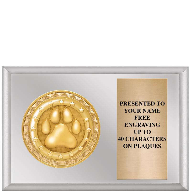 6" X 4" SILVER INSERT PLQ