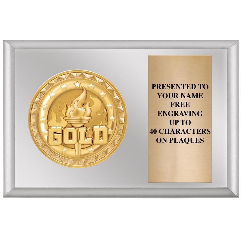 6" X 4" SILVER INSERT PLQ