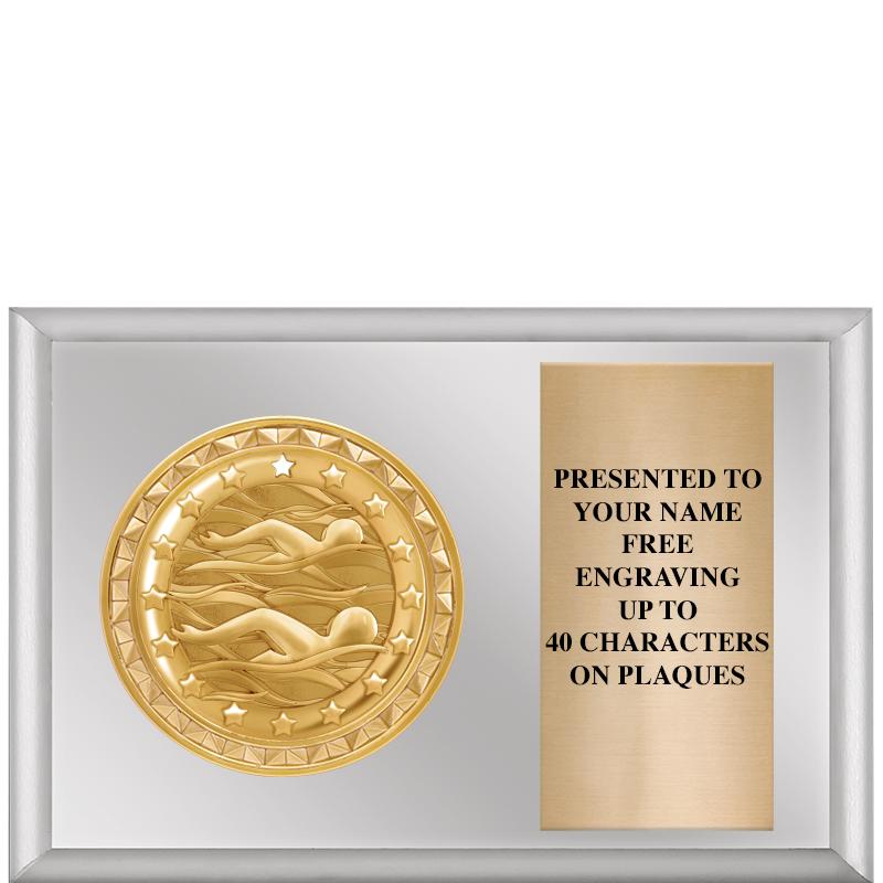 6" X 4" SILVER INSERT PLQ