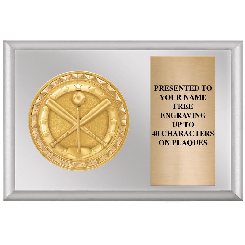 6" X 4" SILVER INSERT PLQ