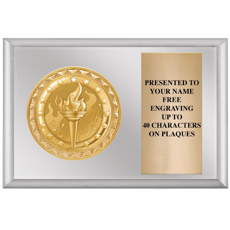 6" X 4" SILVER INSERT PLQ