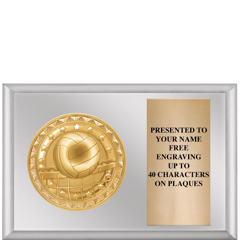 6" X 4" SILVER INSERT PLQ