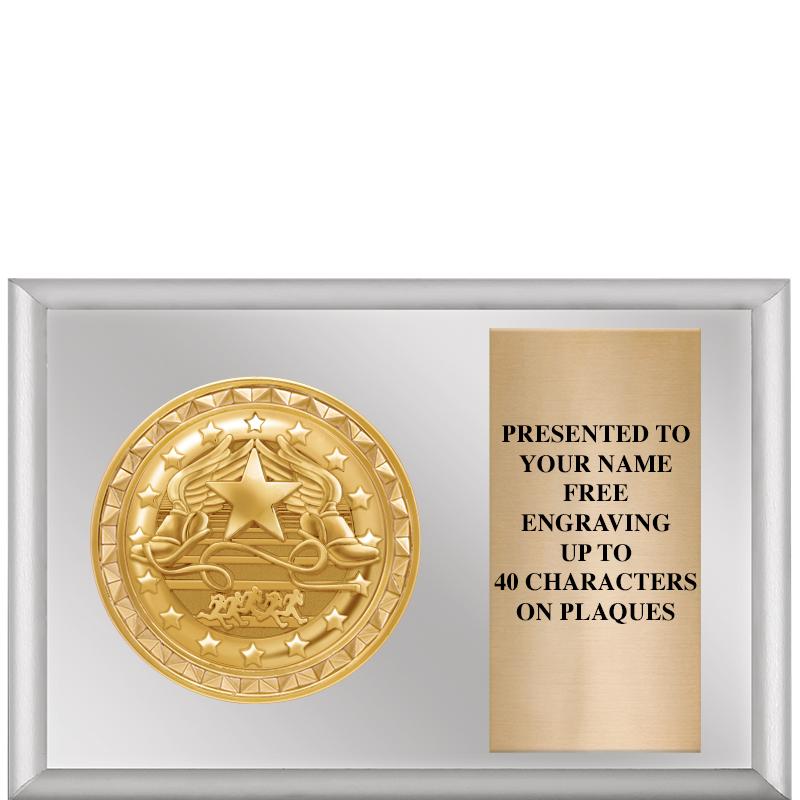 6" X 4" SILVER INSERT PLQ