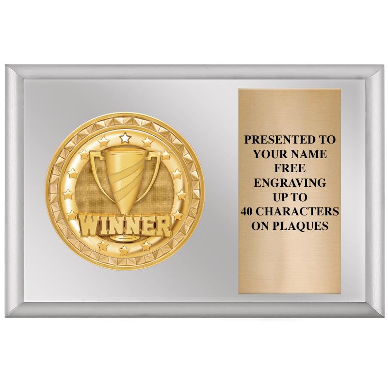 6" X 4" SILVER INSERT PLQ