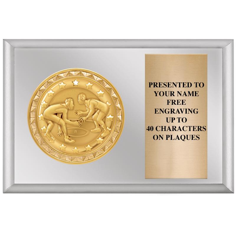 6" X 4" SILVER INSERT PLQ