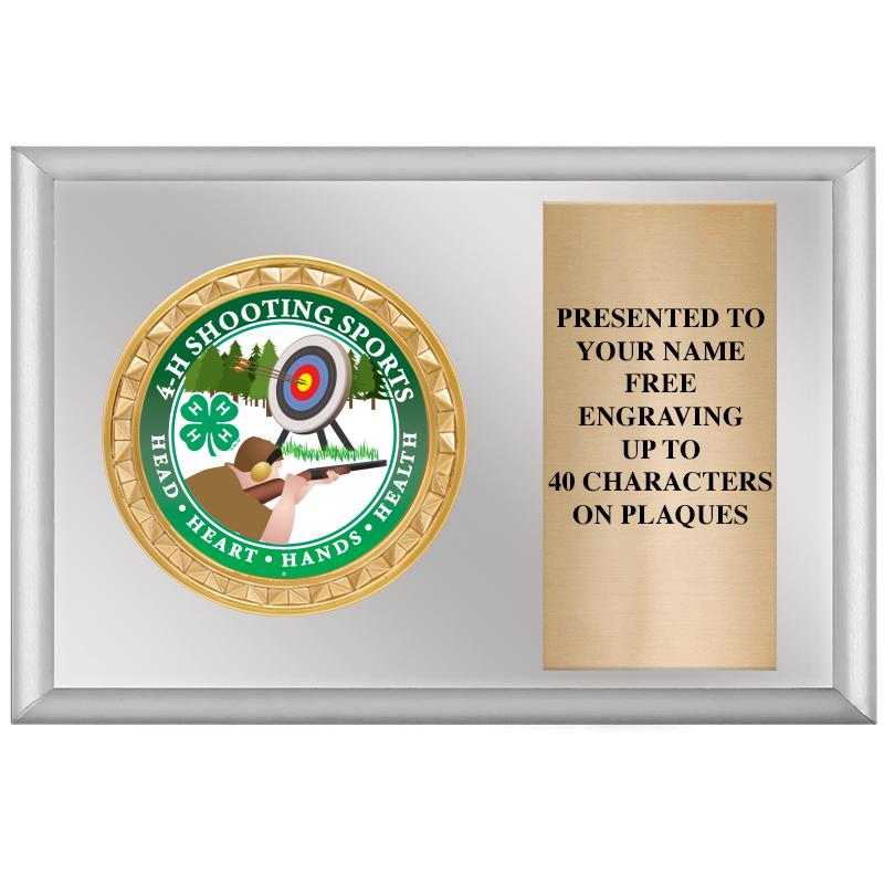 6" X 4" SILVER INSERT PLQ