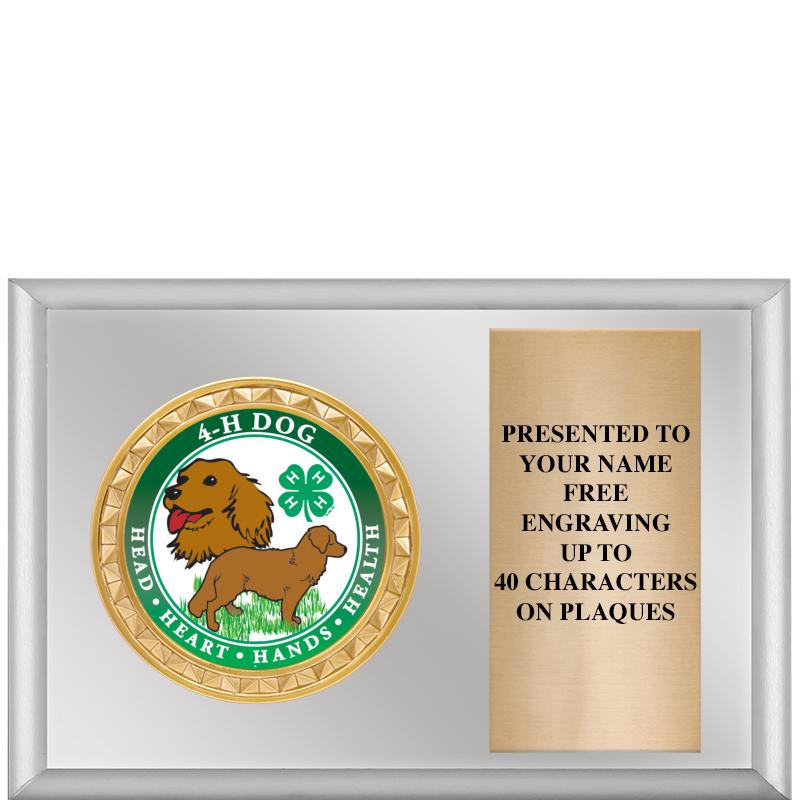 6" X 4" SILVER INSERT PLQ