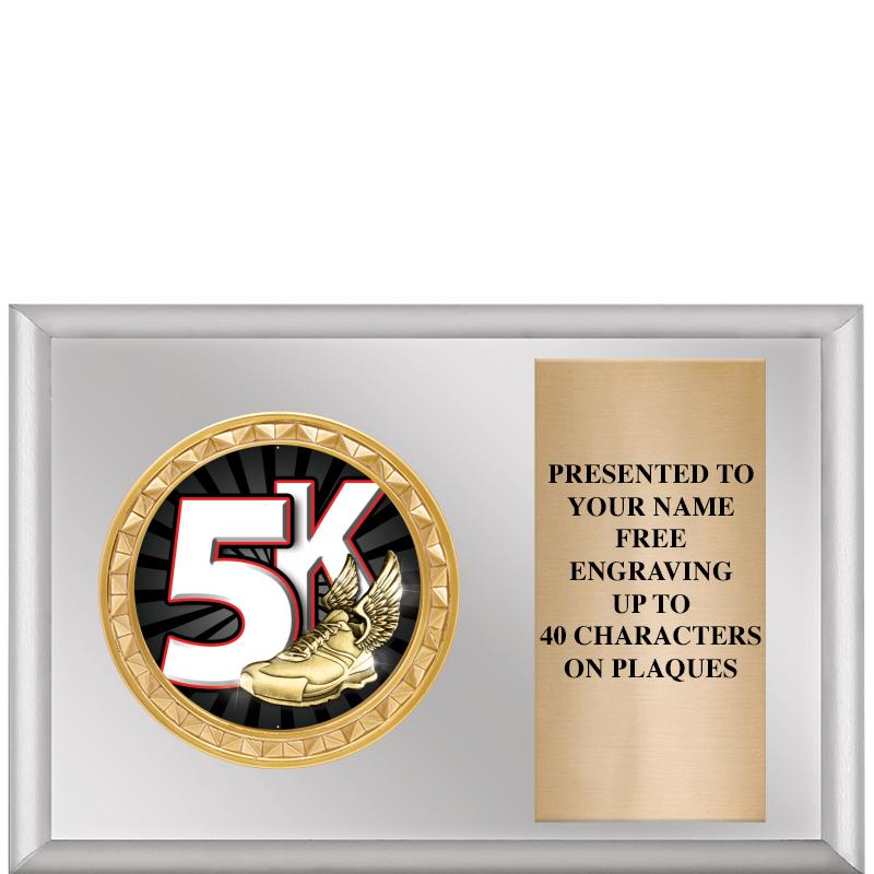 6" X 4" SILVER INSERT PLQ