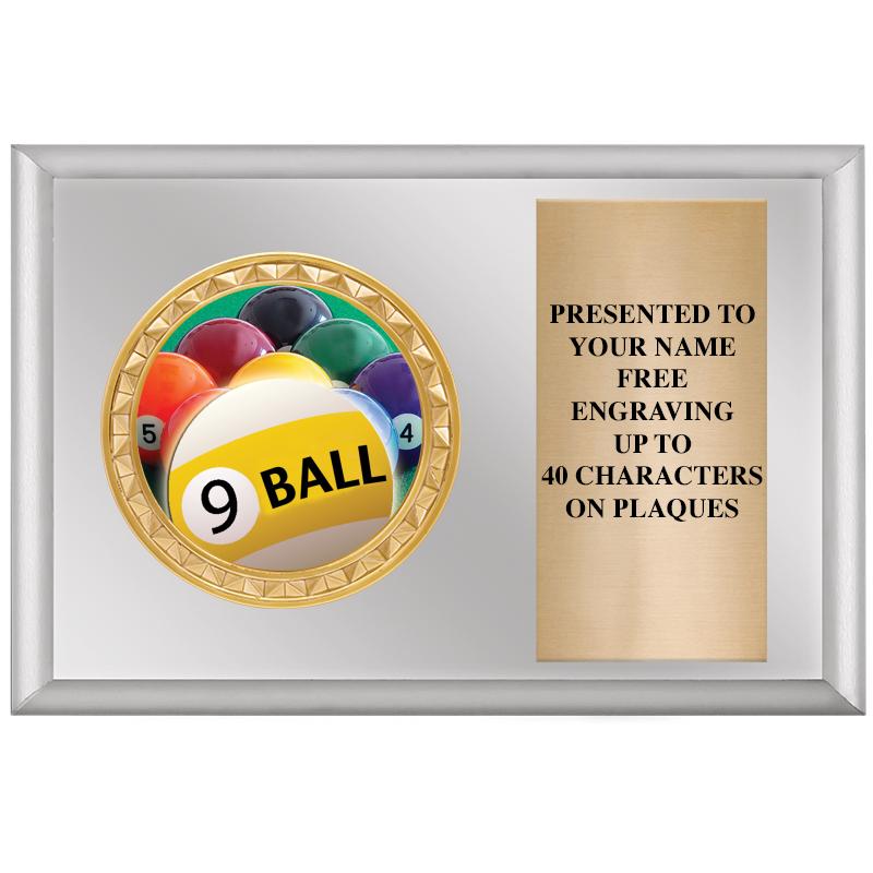 6" X 4" SILVER INSERT PLQ