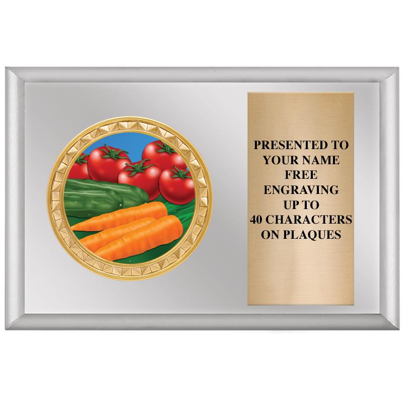 6" X 4" SILVER INSERT PLQ