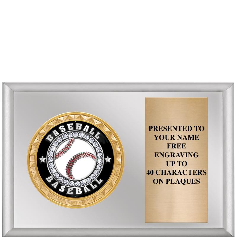 6" X 4" SILVER INSERT PLQ