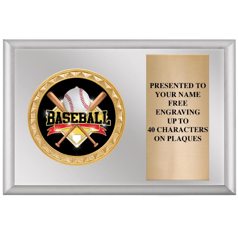 6" X 4" SILVER INSERT PLQ