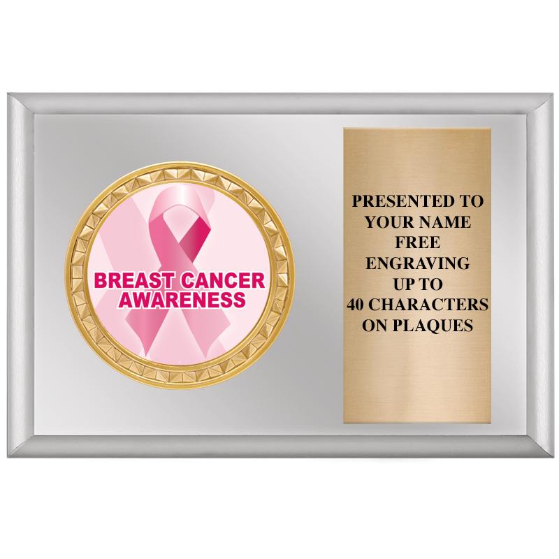 6" X 4" SILVER INSERT PLQ