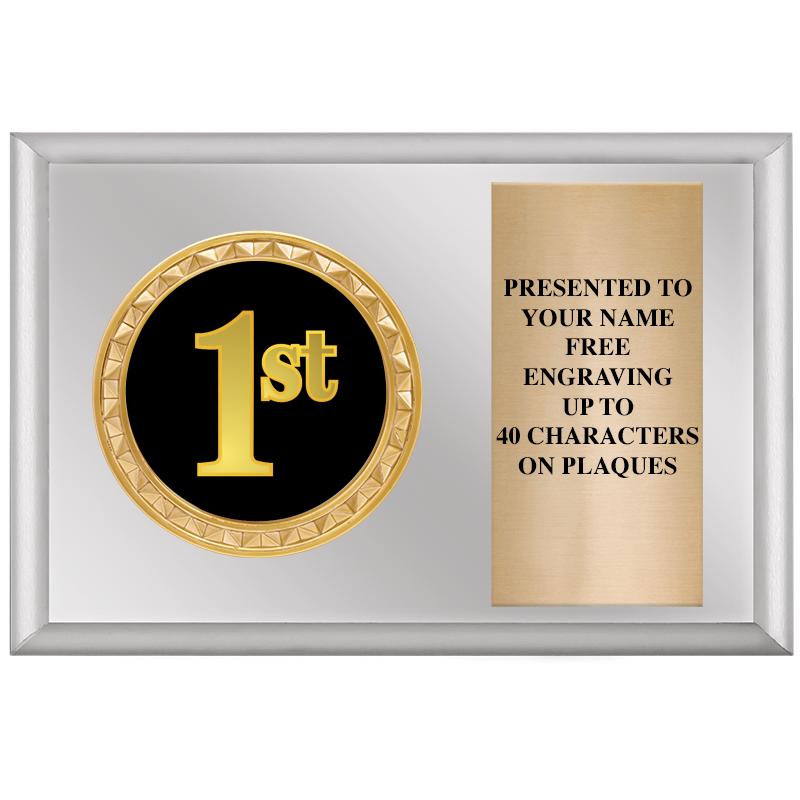 6" X 4" SILVER INSERT PLQ