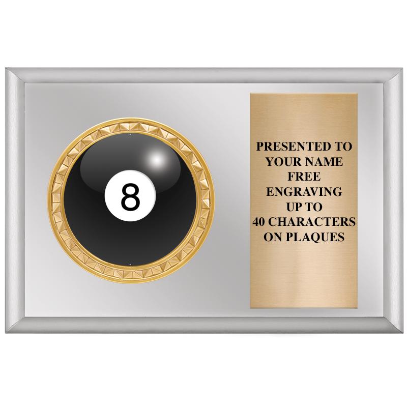 6" X 4" SILVER INSERT PLQ