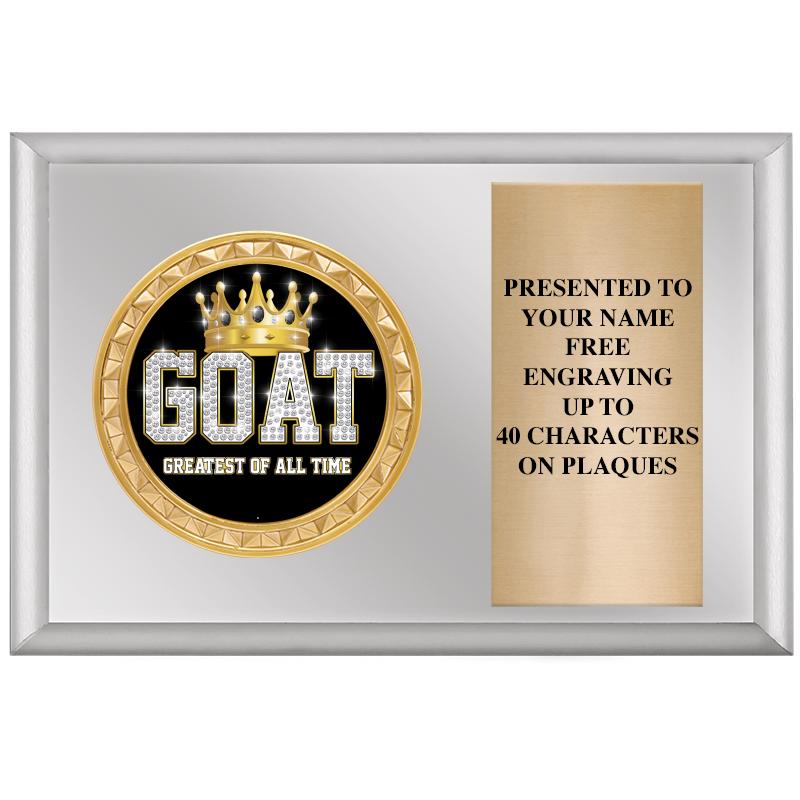 6" X 4" SILVER INSERT PLQ