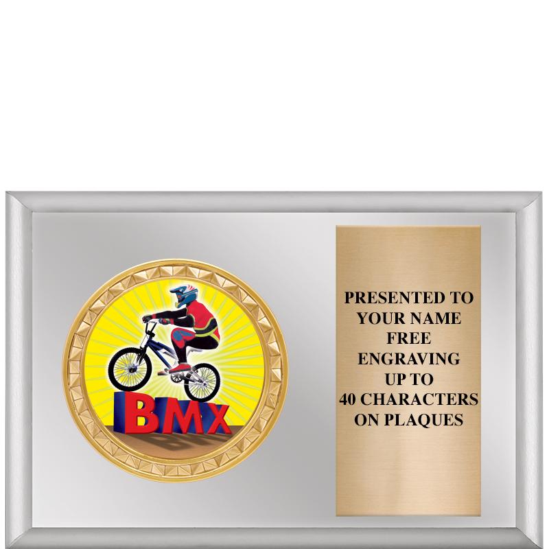 6" X 4" SILVER INSERT PLQ