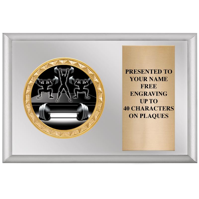 6" X 4" SILVER INSERT PLQ