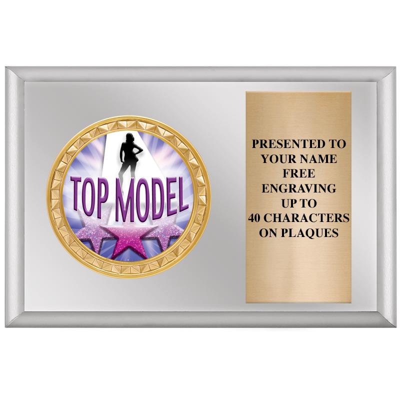 6" X 4" SILVER INSERT PLQ