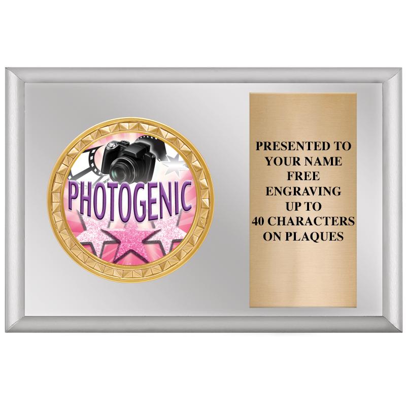 6" X 4" SILVER INSERT PLQ