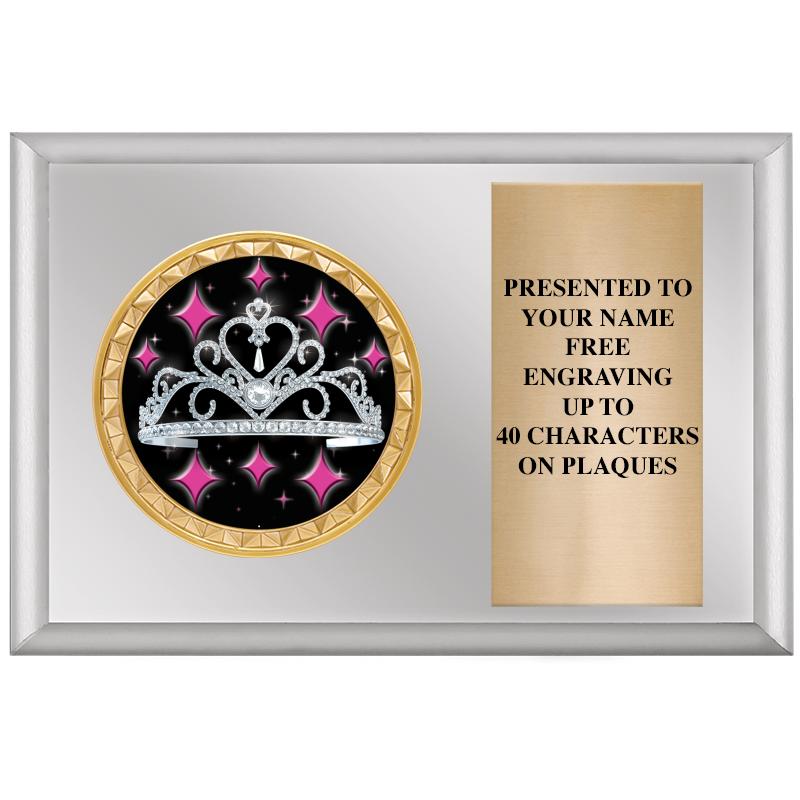 6" X 4" SILVER INSERT PLQ